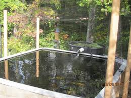 The best fishing lines in these times used catgut. Heron Fishing Lines Across Pond Garden Pond Forums