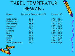 Maybe you would like to learn more about one of these? Thermoregulasi Homeotherm Hewan Berdarah Panas Poikilotherm Ppt Download