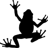Frog clipart black and white frog clipart black and white. Https Encrypted Tbn0 Gstatic Com Images Q Tbn And9gcqvaf Rvzppslczu9wzq4zdvu1ldgk Sdrb7h1q12twrys1adc Usqp Cau