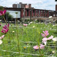 The company offers order placement and delivery services. What Cheer Flower Farm Blossoms On Former Factory Site In Providence The Boston Globe