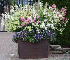 Pin On Flower Containers