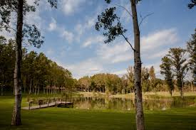 Maybe you would like to learn more about one of these? Boda En La Farinera De Sant Lluis Marga Marti