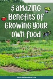 Maybe you would like to learn more about one of these? 5 Benefits Of Growing Your Own Food Smart Money Mamas