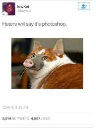 Hater Will Say Its Photoshop Shitpostbot 5000 Know Your Meme