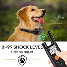 Electronic training collars, or remote training collars, have been around a long time. Amazon Com Dog Training Collar Rechargeable Dog Shock Collar W 3 Training Modes Beep Vibration And Shock Rainproof Training Collar Up To 1000ft Remote Range Adjustable Shock Levels Dog Training Set