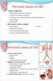 Acute Kidney Injury Medical Surgical Nursing Nursing School Survival Dialysis Nurse