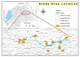 Image result for Bothriocline ugandensis