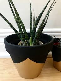 Black And Gold Design For Pots Set Of Two 4 Inch And 3 Inch Gold And Black Plant Pots Mid Etsy Painted Plant Pots Gold Flower Pot Plant Pot Design