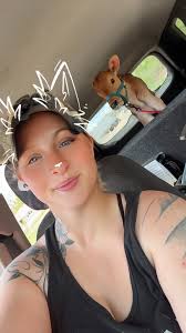 What happened to the deer caught in the fence by Michigan Steel?