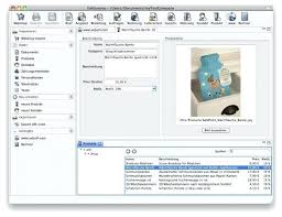 Buchhaltungssoftware Freeware Buchhaltung Mit Steuerberater Vs Professionelle Buchhaltungssoftware