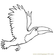 See more ideas about toucans, toucan images, animals. Flying Toucan Coloring Page For Kids Free Toucan Printable Coloring Pages Online For Kids Coloringpages101 Com Coloring Pages For Kids
