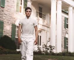 No longer a danger to herself or others she made up her mind and laced up her shoes yelled down the hall but nobody answered so she walked outside. Look Inside Elvis Iconic Graceland