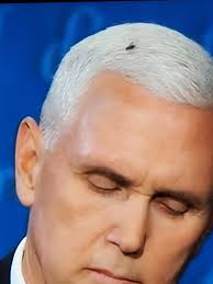 June Erickson (@atlbug)