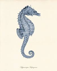 Nautical Art Print Navy Blue Art Sea Coral Art Print Set Of 4 Etsy Seahorse Art Coral Art Sea Life Art