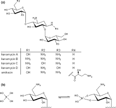 Note that we defined the range of interest for two reasons: Assay Of Kanamycin A By Hplc With Direct Uv Detection Springerlink