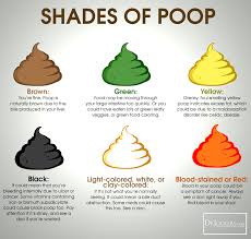 16 Ways To Achieve A Healthy Poop Drjockers Com