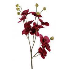 We did not find results for: Flores Para Tocados Artipistilos Materiales Para Tocados Pamelas Mas Artipistilos Com