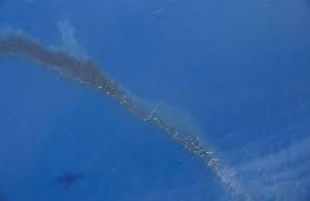 Environmental pollution refers to the introduction of harmful pollutants into the environment. Ajx0tj Zko3yfm