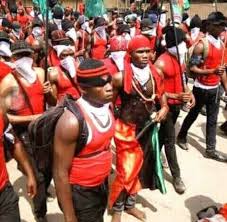 Learn more about ipob news on talkglitz. Pin On Web Pixer