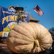 Image result for giant pumpkin