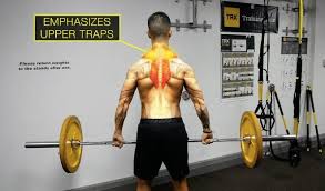 The Best Science Based Trap Exercises For Growth 10 Studies In 2020 Traps Workout Lower Trap Exercises Exercise