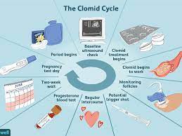 How To Take Clomid For Infertility