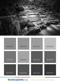 Black And White Color Scheme Website Water Nature Black And White Color Palette Black Color Palette Color Palette Black And White Colour