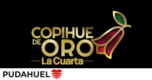 Los ganadores del copihue de oro 2021 fueron presentados en un programa que tuvo en la conducción al comediante fabrizio copano, desde california, estados unidos.el artista también estuvo a cargo de un espacio donde se dieron a conocer los nominados y que contó con la participación de otros reconocidos rostros del mundo del espectáculo. Estos Fueron Los Ganadores Del Copihue De Oro