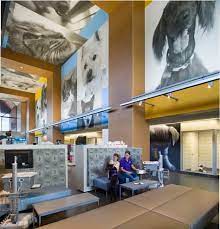 Adopt a pet from das address. 13 Spca Of Texas Hq Ideas Spca Texas Animal Shelter Design