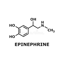 Image result for Epinephrine
