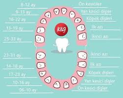 Bebek Cocuk Gelisimi Panosundaki Pin