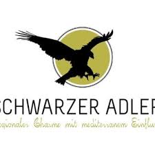 Image result for "Gelber Löwe" "heroldsberg"