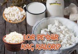 Kaşar loru iyi falan değildir, lorların en ucuzu en adisidir, piyasada bulunan ucuz lorların hepsi de kaşar lorudur. Kasar Peynir Kac Kalori Kac Kalori