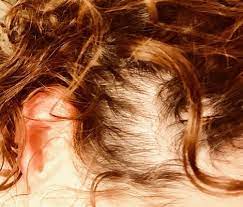 Use salon near me feature or search feature on lokaci to find salons on the basis of price, distance, salon type, gender. Damsels Blokes Salon 26 Photos 26 Reviews Hair Salons 19708 Northwest Fwy Houston Tx United States Phone Number Yelp