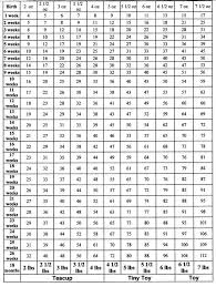 Growth Chart Toy Poodle Weight Puppies Dogs Puppies