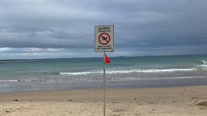 Shark attacks are rare in the country and it is thought to be the first such death since 2013. Port Macquarie Shark Attack Town Beach Closed After Teenage Surfer Bitten Daily Telegraph