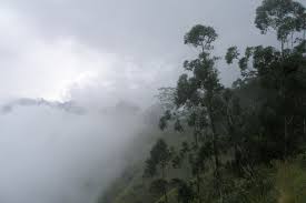 File:Sri Lanka cloud forest.jpg - Wikimedia Commons