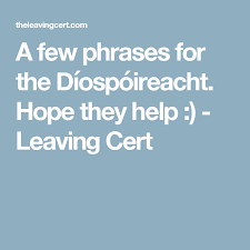 A Few Phrases For The Diospoireacht Hope They Help Leaving Cert Essay Topics Cert Phrase