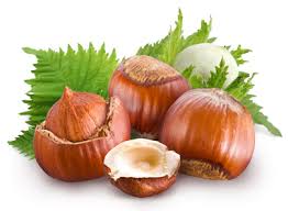 Quelles Vertus Pour Le Savon Www Lessavonsdepierre Com