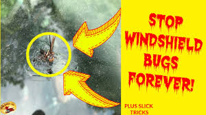 The wax will serve as a protective barrier between your paint and the acidic lovebug. How To Keep Bugs From Sticking To Glass Forever A Secret Concoction Revealed Youtube