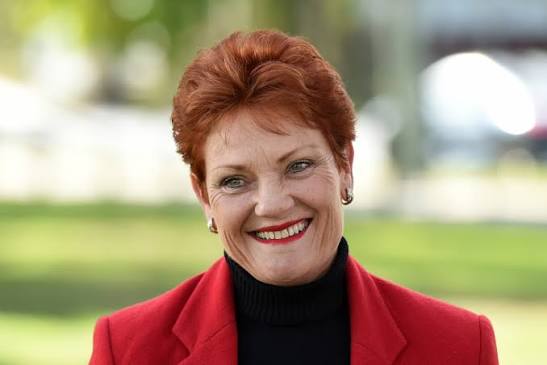 Pauline Hanson makes potentially racist comment to Aboriginal man