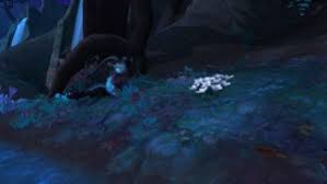101 red rose delivery in rome. Aromatic Flowers Item World Of Warcraft