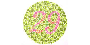 One Page From The Well Known Ishihara Color Vision Test Book
