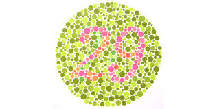 one page from the well known ishihara color vision test book