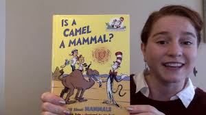 Though they do serve this purpose. Is A Camel A Mammal Youtube