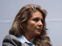 cargos que buscan lo ex jefes delegacionales