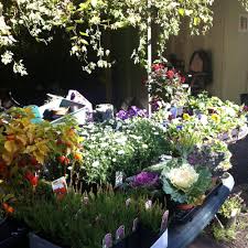 The Best 10 Nurseries & Gardening near Spen Nurseries in Cleckheaton, West  Yorkshire