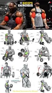 Hi all, i noticed my biceps tend to grown wider as opposed to grow taller. Pin On Workout Plans