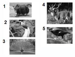 Sudah mulai banyak belajar buat ujian nasional tahun ini? Latihan Soal Ujian Sekolah Us Bahasa Inggris Smk Tahun 2021 Tahun Pelajaran 2020 2021 Pendidikan Kewarganegaraan Pendidikan Kewarganegaraan