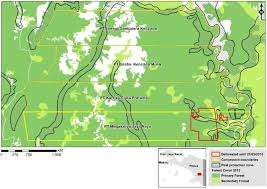 Addressbatu 24 off jalan air hitam, kulai, kulai, malaysia. Rspo Members Concealed Links To Papua Palm Oil Plantations To Be Formally Investigated Eia